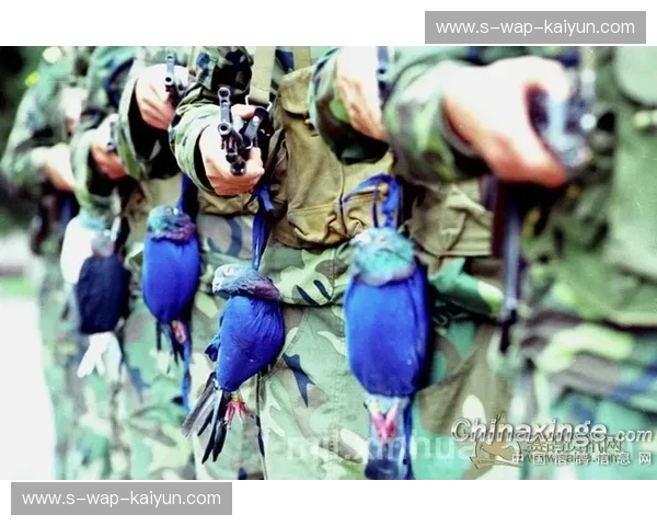 铁血红鹰VS黄玫瑰：一场关于巴尔干尊严与东欧复兴的绿茵生死斗